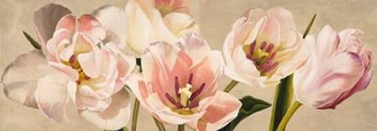 White Flowers Poster Print by Luca Villa - Item # VARPDX4LC2404