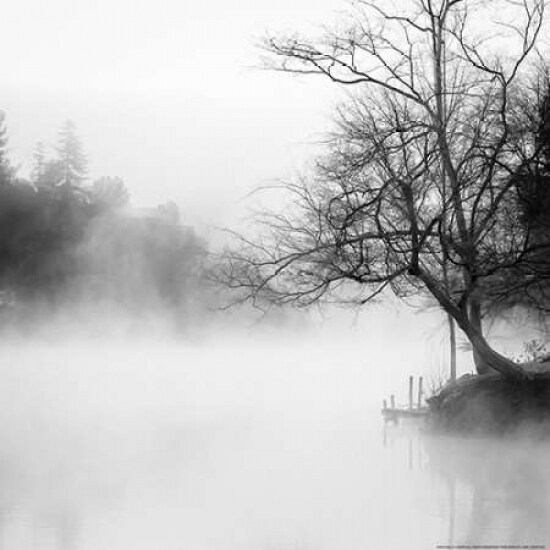 Fog On The Lake 1 Poster Print by Sally Linden - Item # VARPDXLIN21BW
