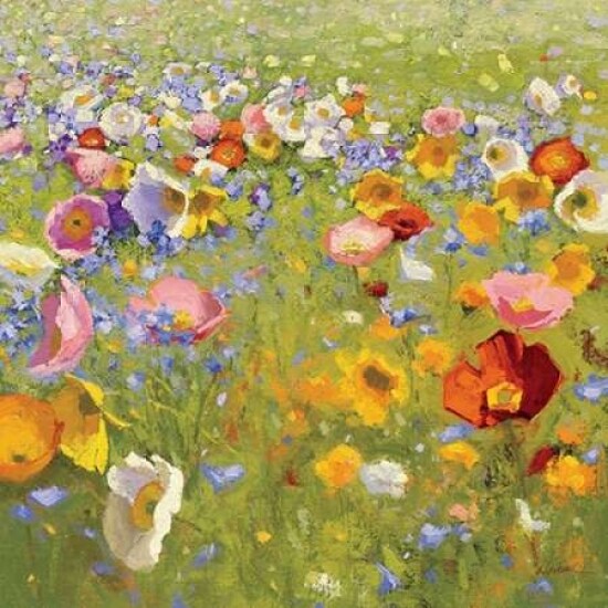 Champ de Fleur I Poster Print by Shirley Novak - Item # VARPDX22127