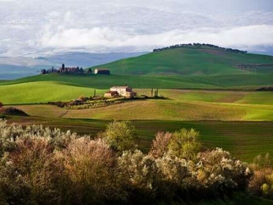 Tuscan Countryside Poster Print by Vadim Ratsenskiy - Item # VARPDX3VR1722