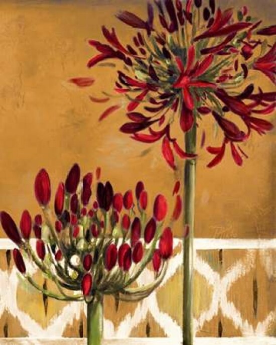 Red Lily of the Nile II Poster Print by Patricia Pinto - Item # VARPDX8853B