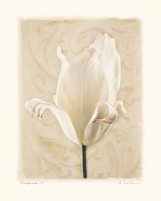 Chiaroscuro I Poster Print by Amy Melious - Item # VARPDXMEL259