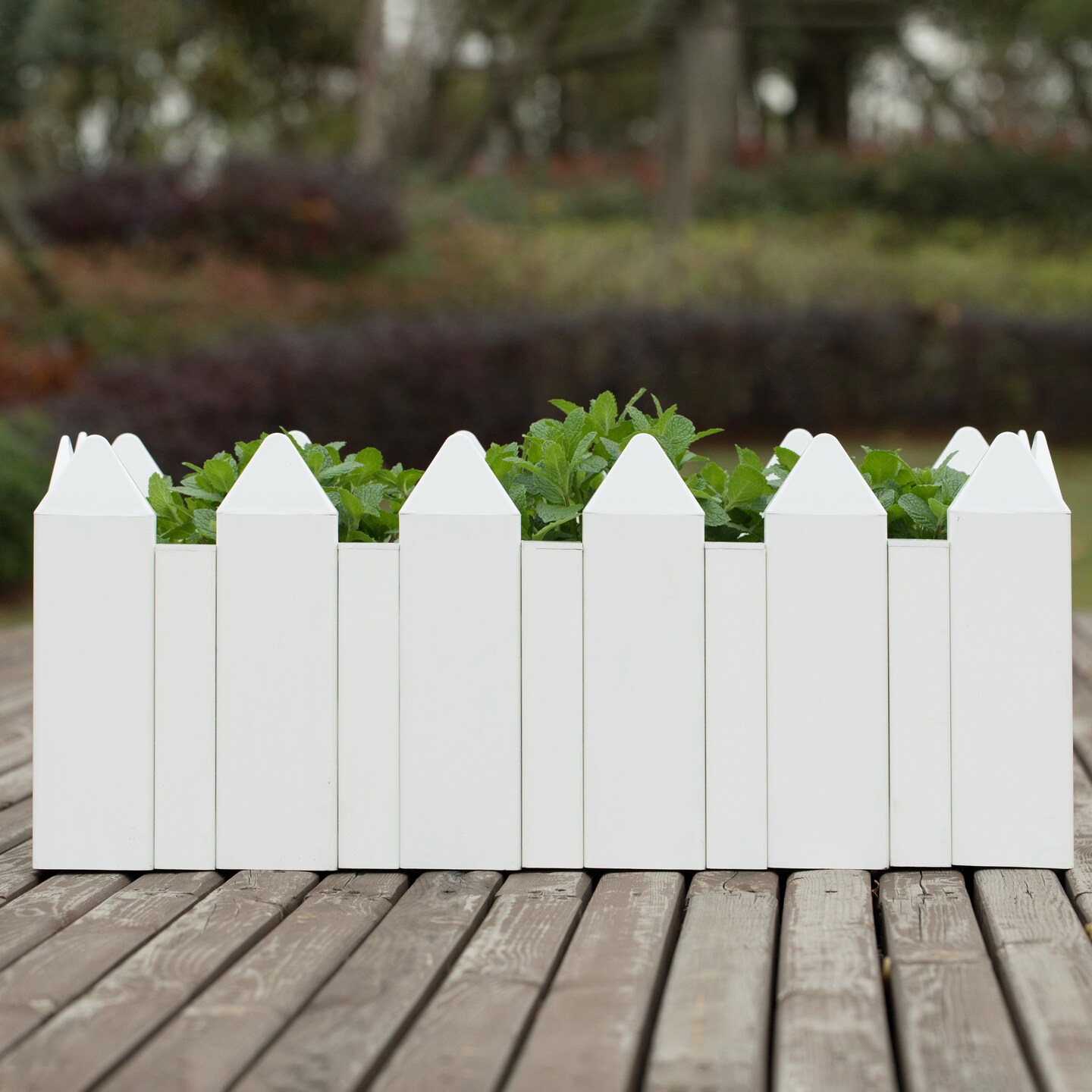 White Vinyl Traditional Fence Design Garden Bed Elevated Screwless Raised Planter Box
