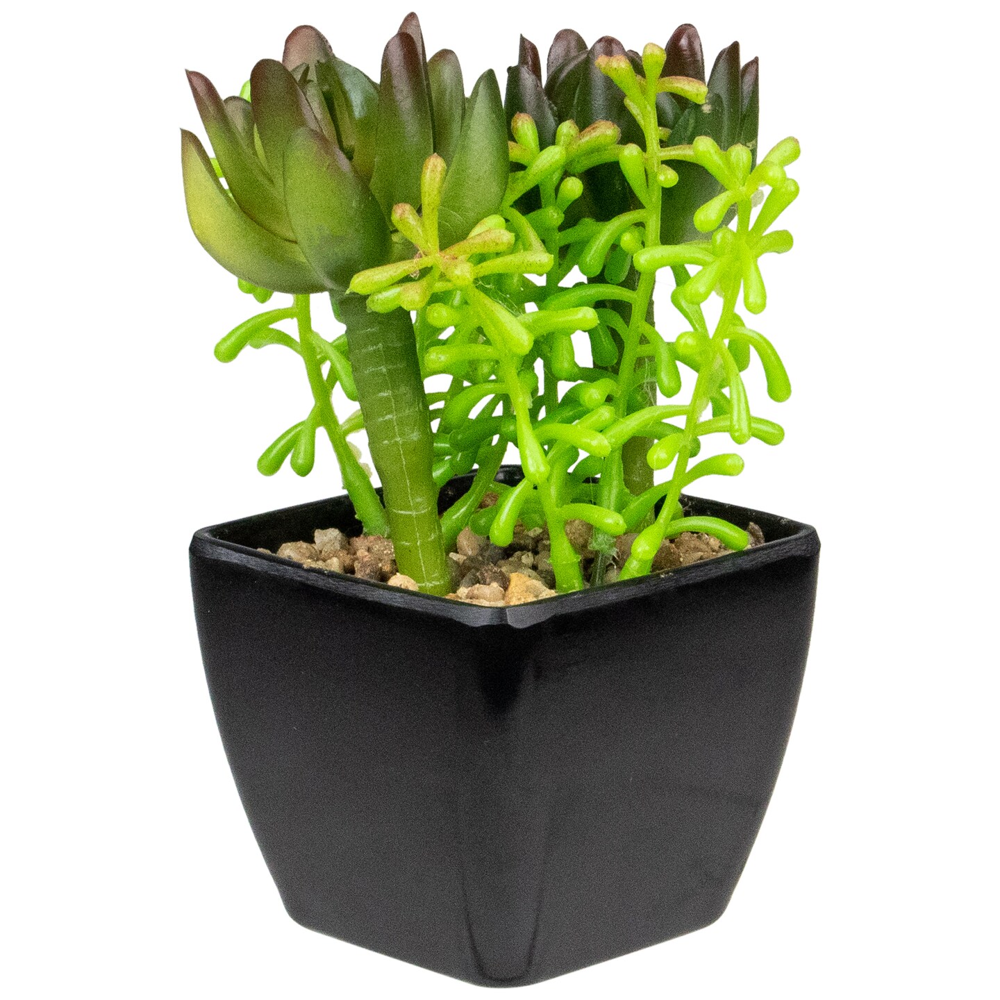 Northlight Potted Artificial Succulent Arrangement - 6&#x22;