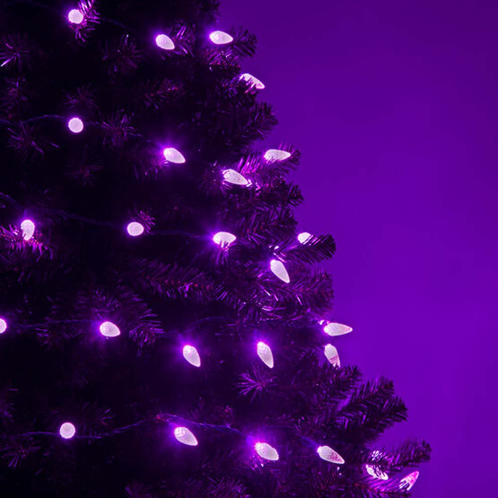 70 Purple C6 LED Christmas Lights, Green Wire, 4&#x22; Spacing