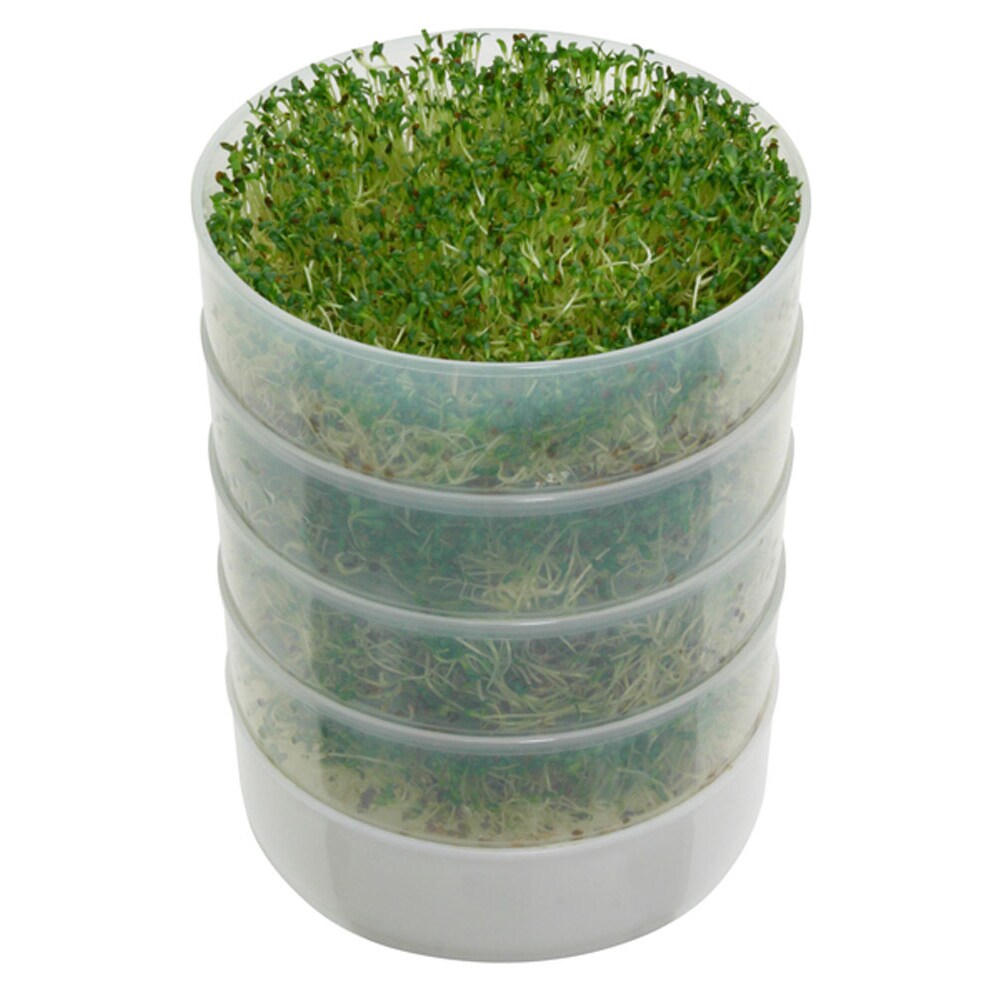 VKP Brands   Kitchen Crop 4-Tray Sprouter