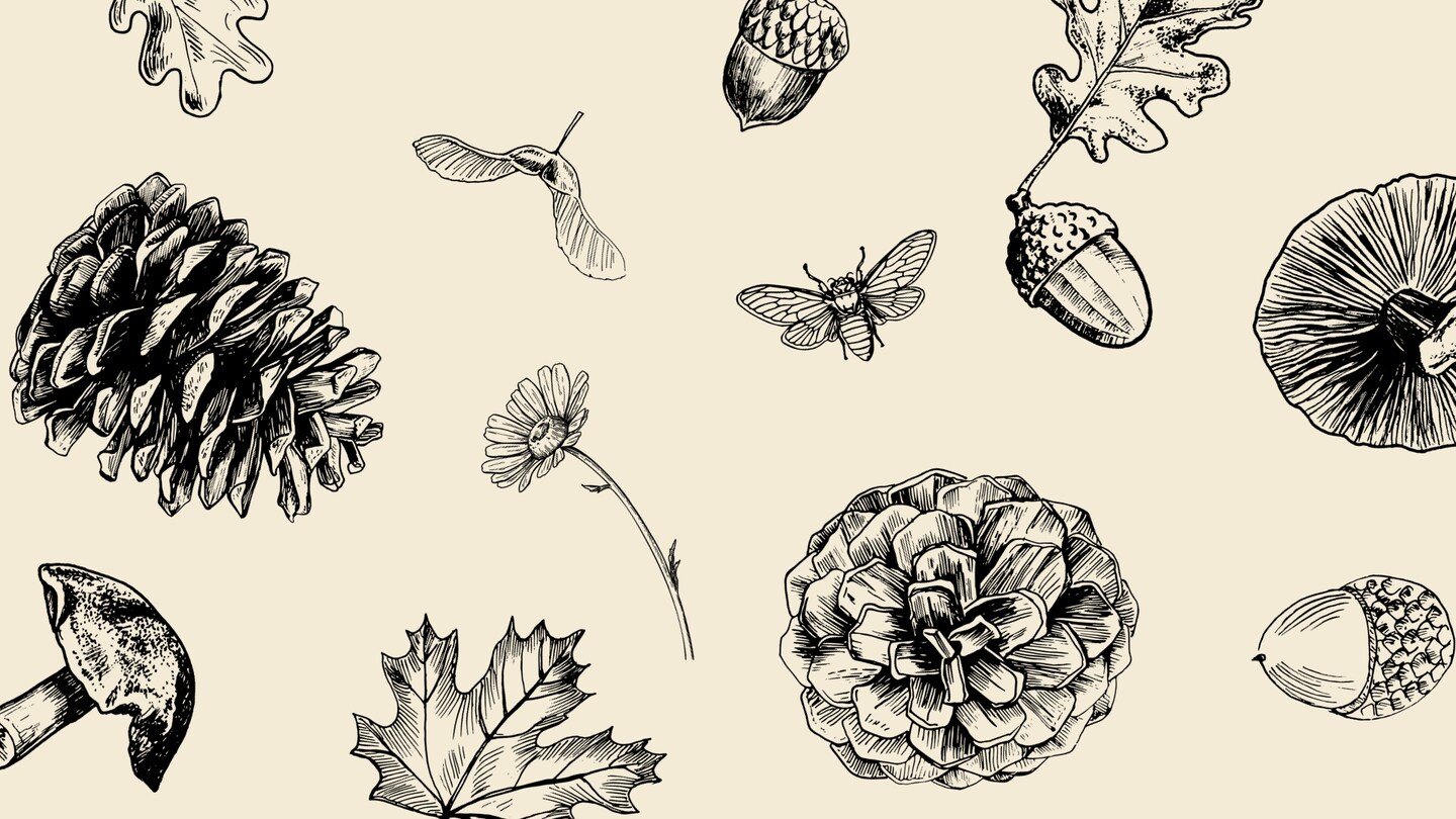 storefront banner
