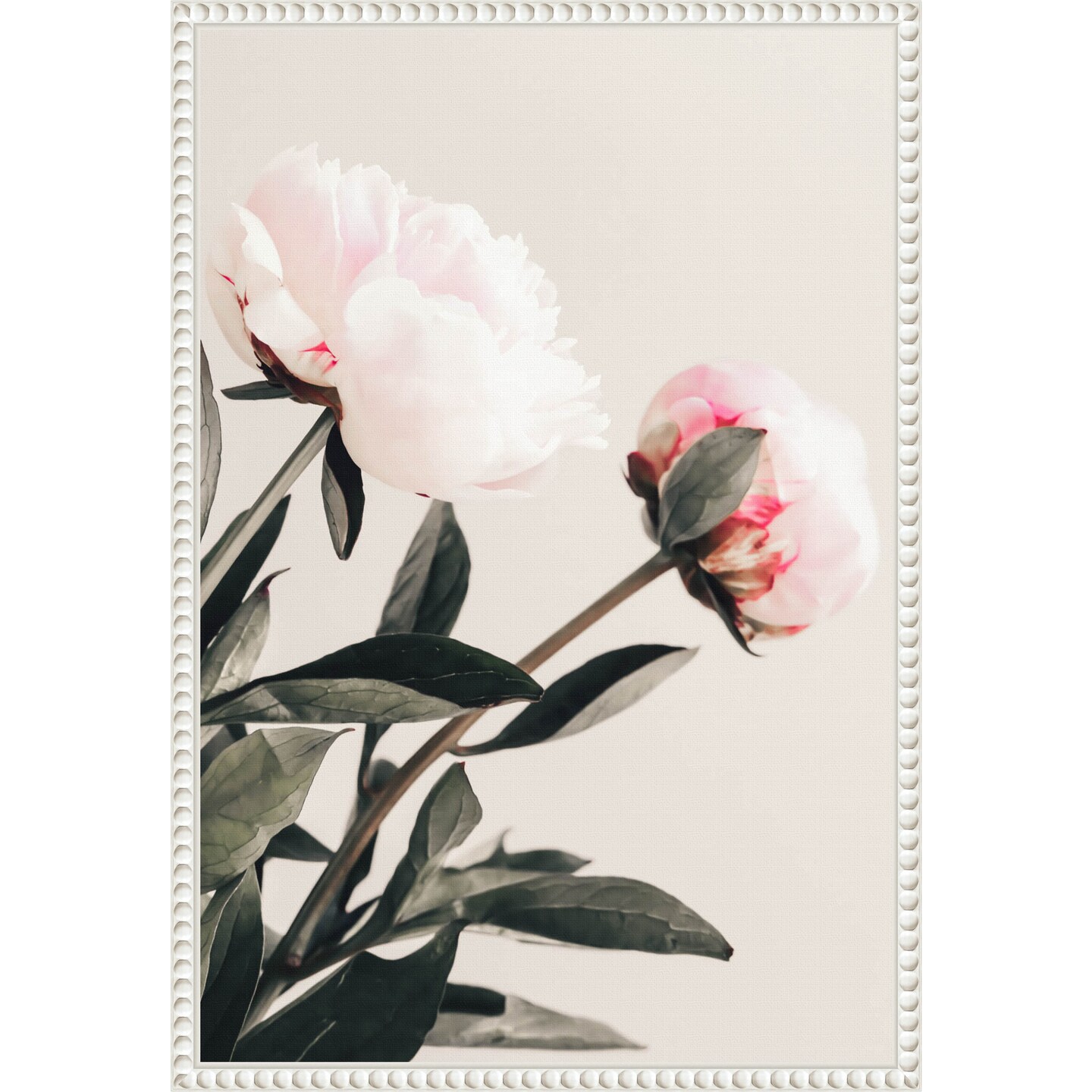 Peony 23 by Pictufy Studio III Framed Canvas Wall Art