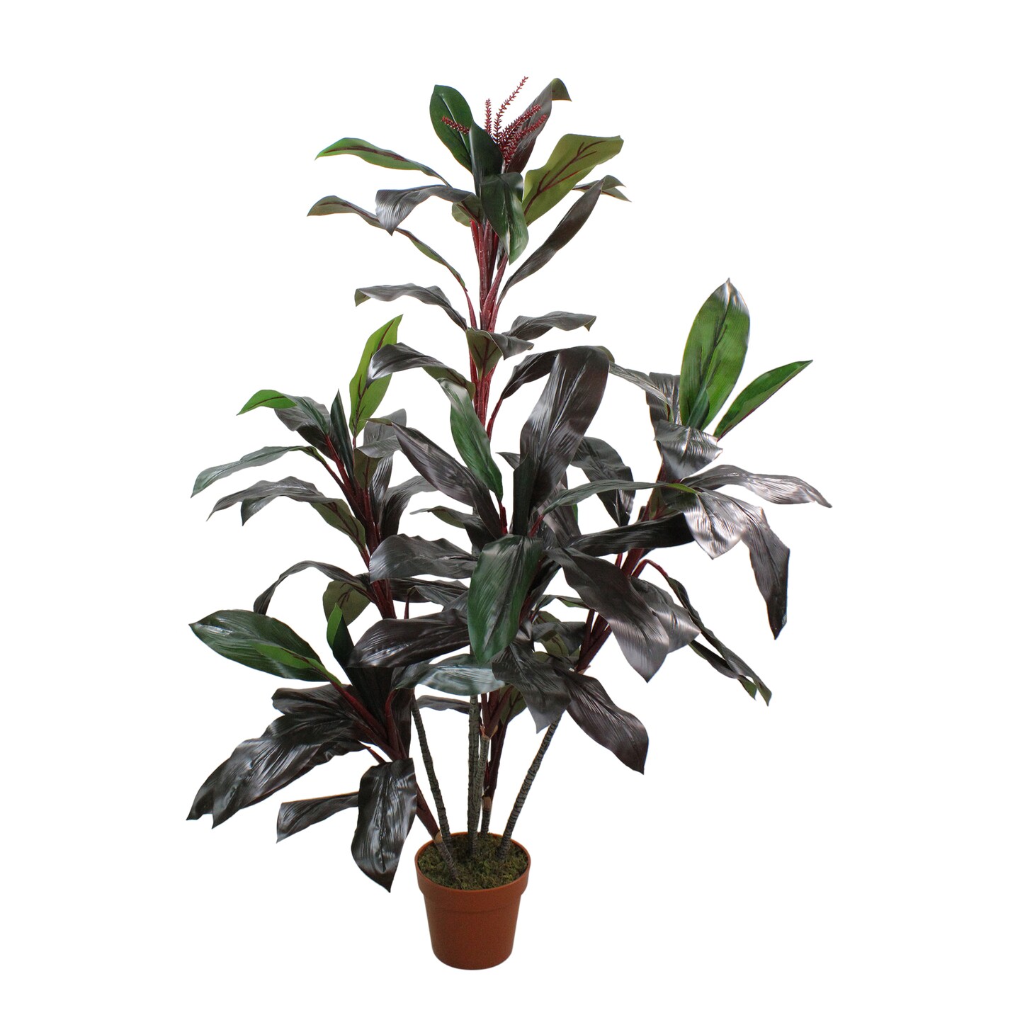 Northlight 60&#x22; Potted Green and Red Artificial Dracaena Plant