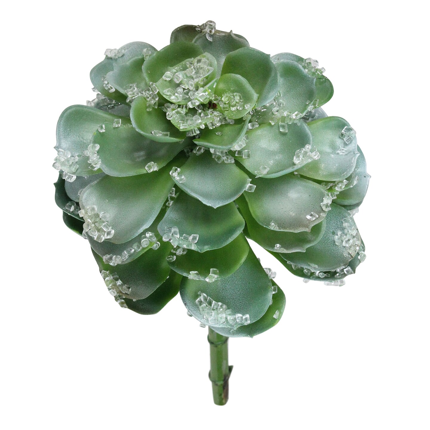 Allstate Frosted Echeveria Succulent Artificial Christmas Pick - 10" - Green