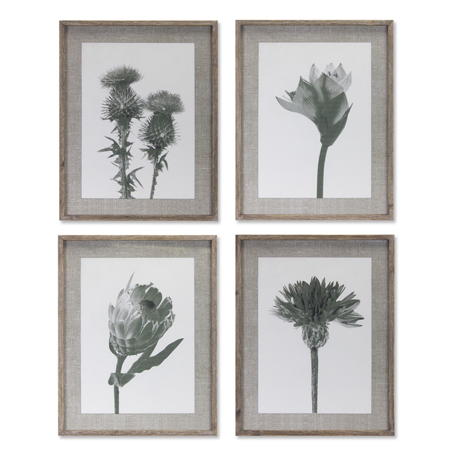 Contemporary Floret - Framed Prints (Set of 4) - Black