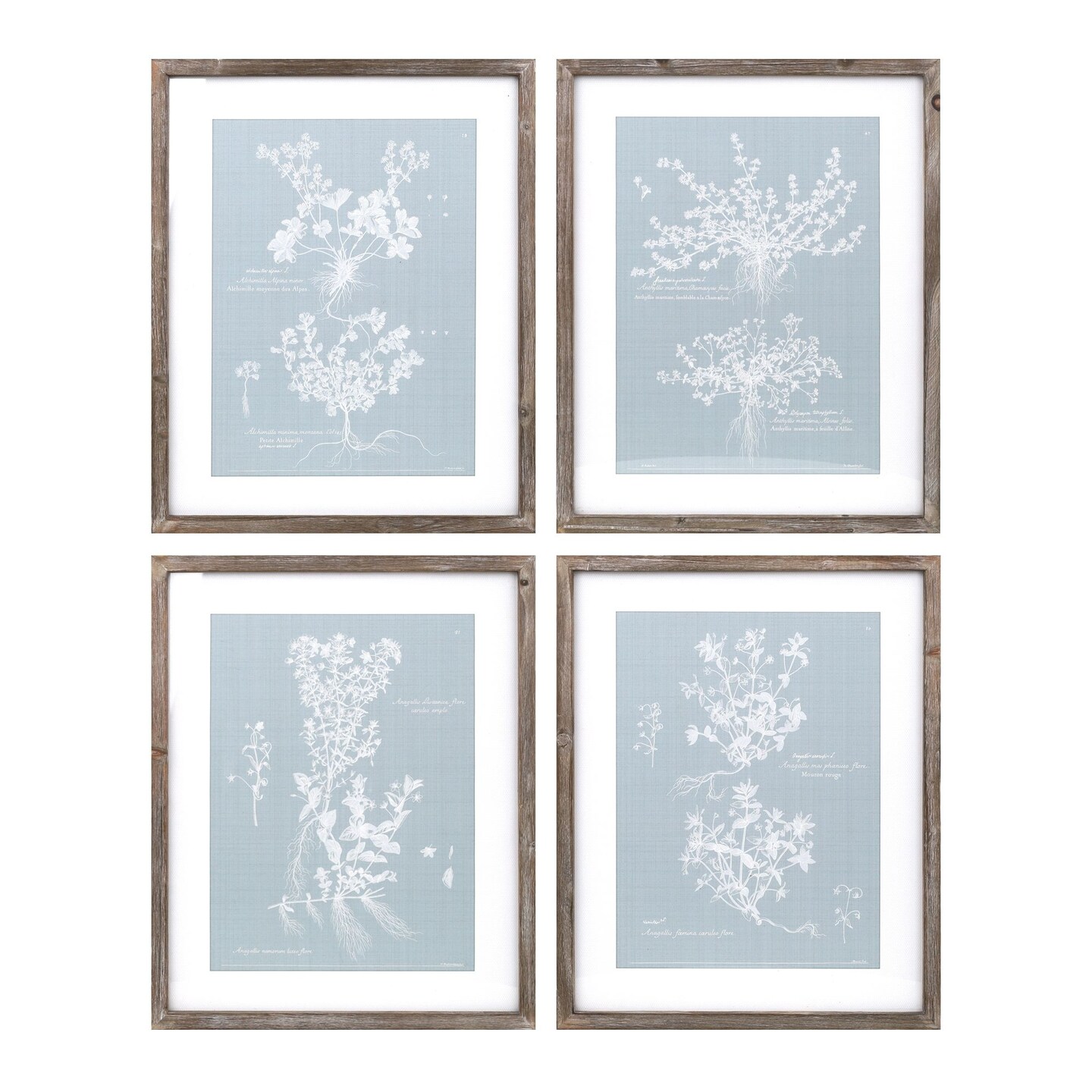 Melrose Set of 4 Blue and White Framed Floral Rectangular Wall Art 15.75&#x22; x 19.5&#x22;