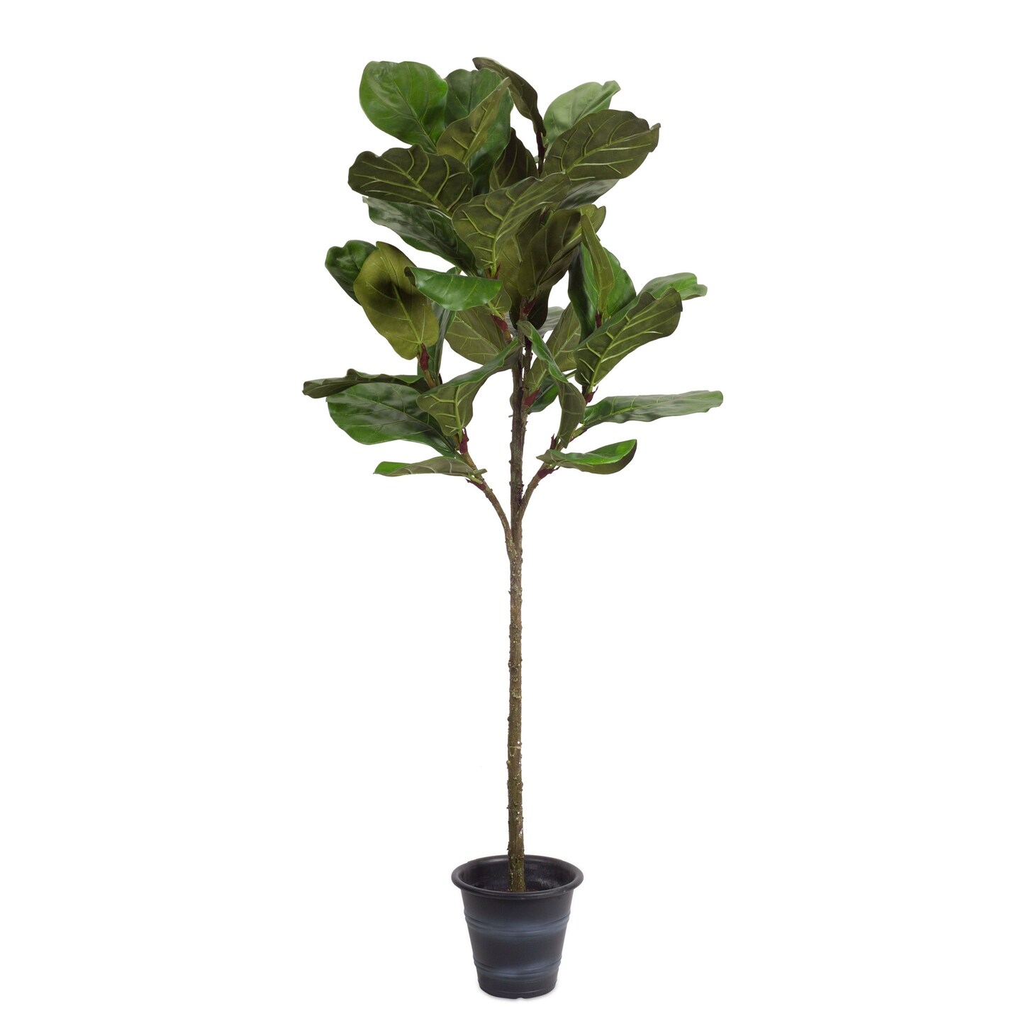 Diva At Home 5&#x27; Green and Brown Potted Faux Fiddle Leaf Fig