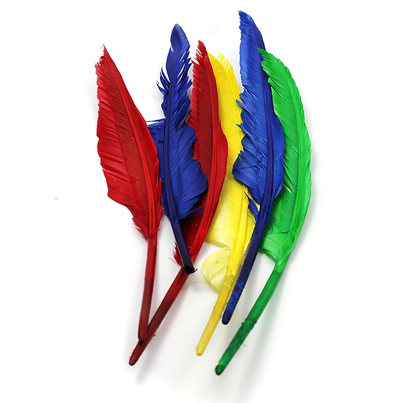 Quill Feathers, 10&#x22; &#x26; 12&#x22;, 6 Count