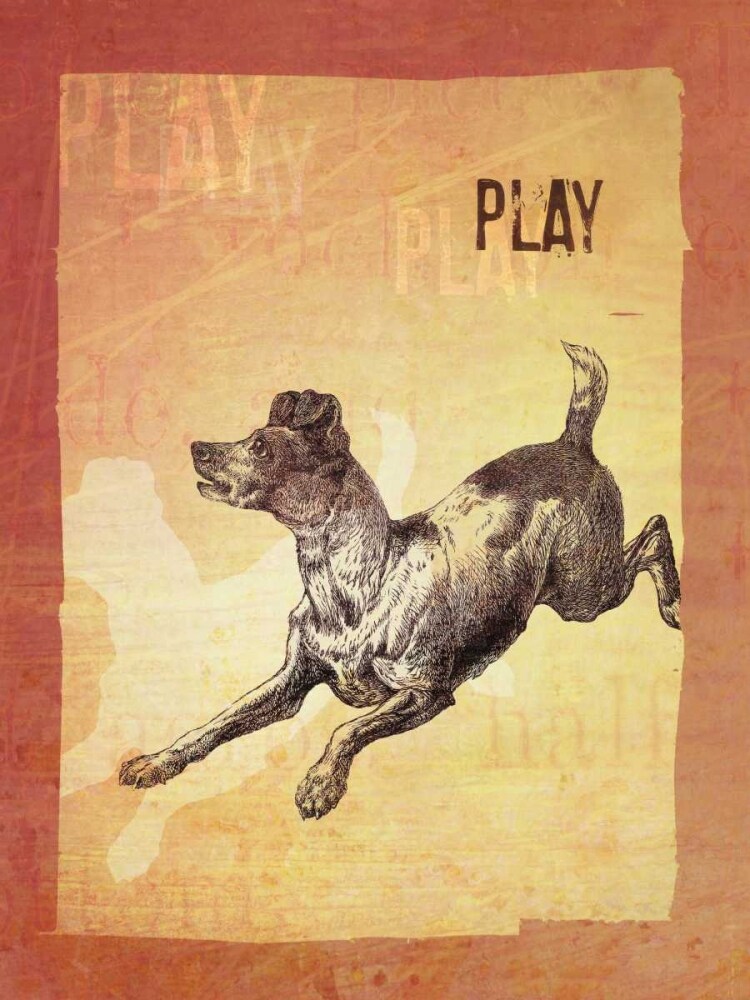 Play Poster Print by Tija Patrick - Item # VARPDXTJ104AA