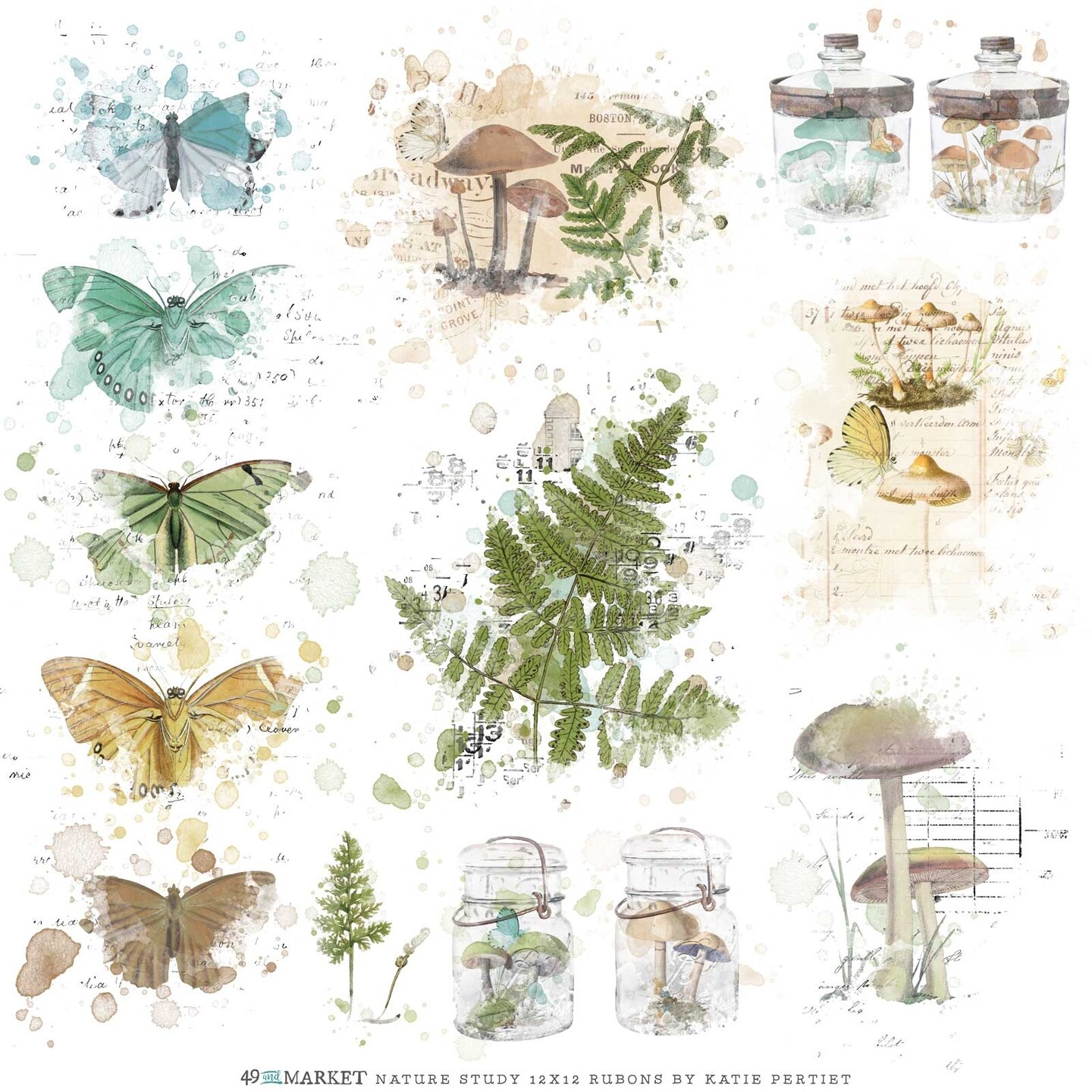 Nature Study Rub-Ons 12&#x22;X12&#x22; 1/Sheet
