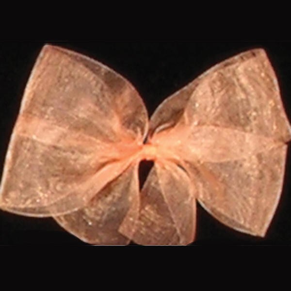 The Ribbon People Peach Pink Solid Organdy Craft Ribbon 4&#x22; x 55 Yards