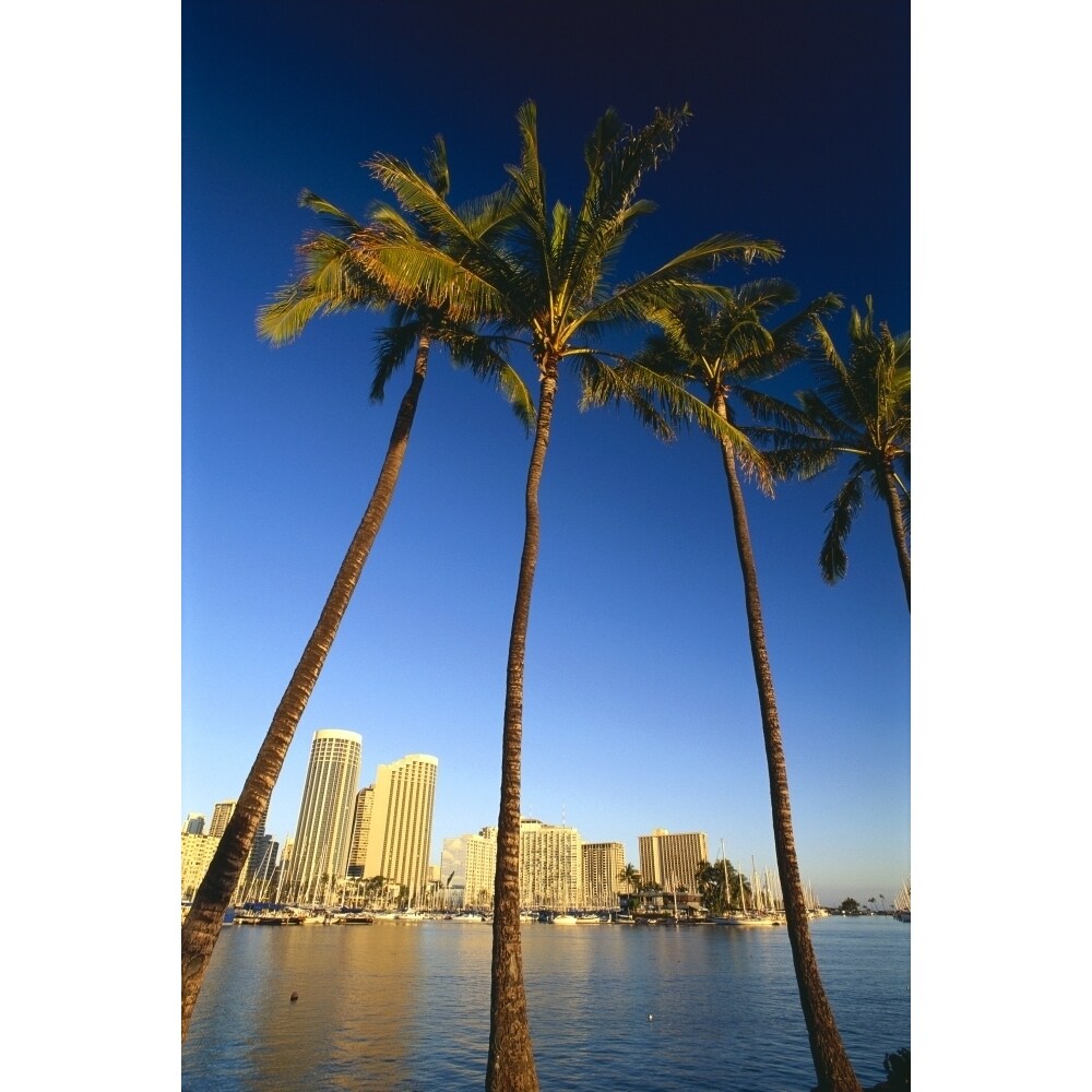 Hawaii Oahu Daytime View Of Waikiki Skyline And Harbor Palm Trees In Foreground Poster Print