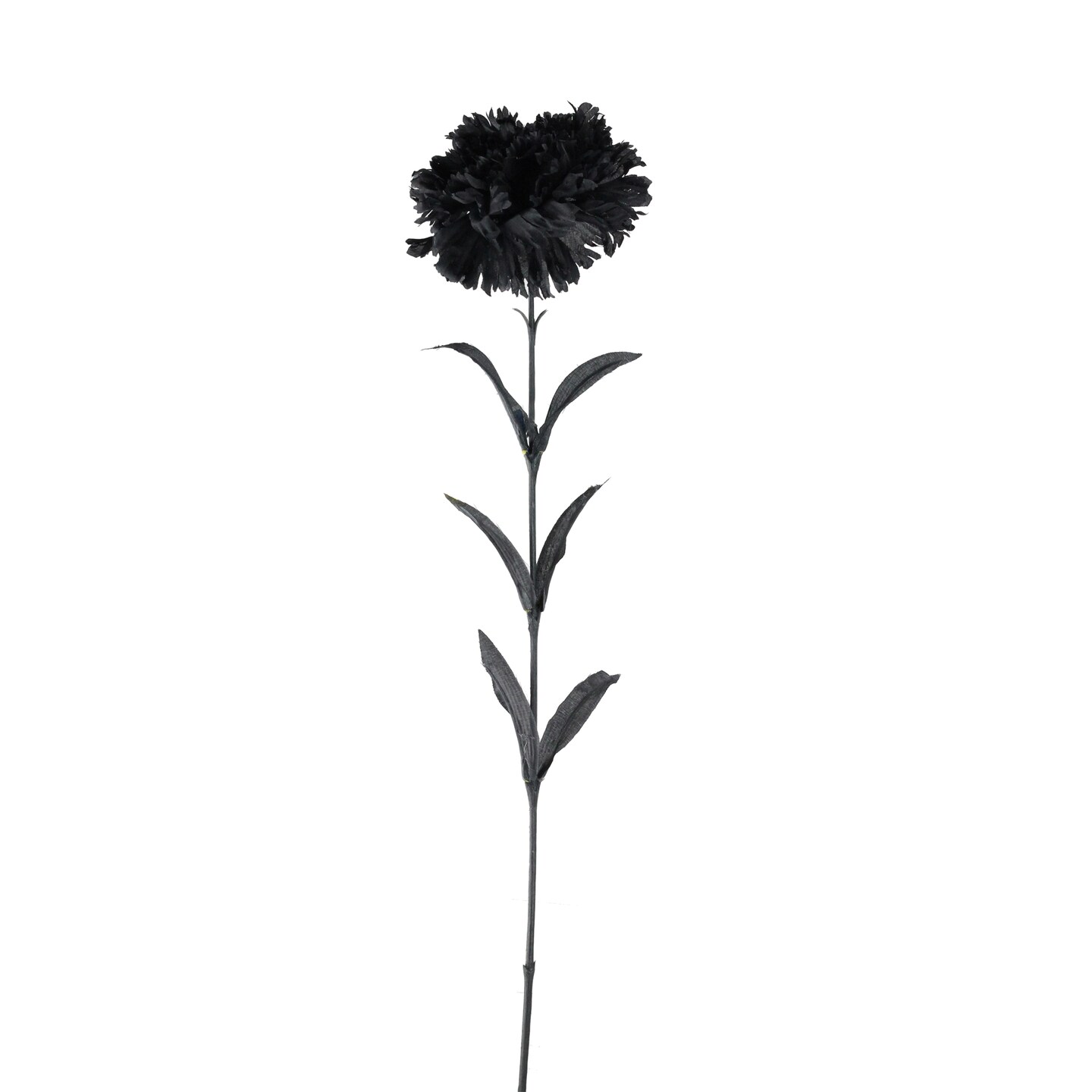CC Home Furnishings 24&#x201D; Single Black Carnation Floral Craft Pick with Black Stem