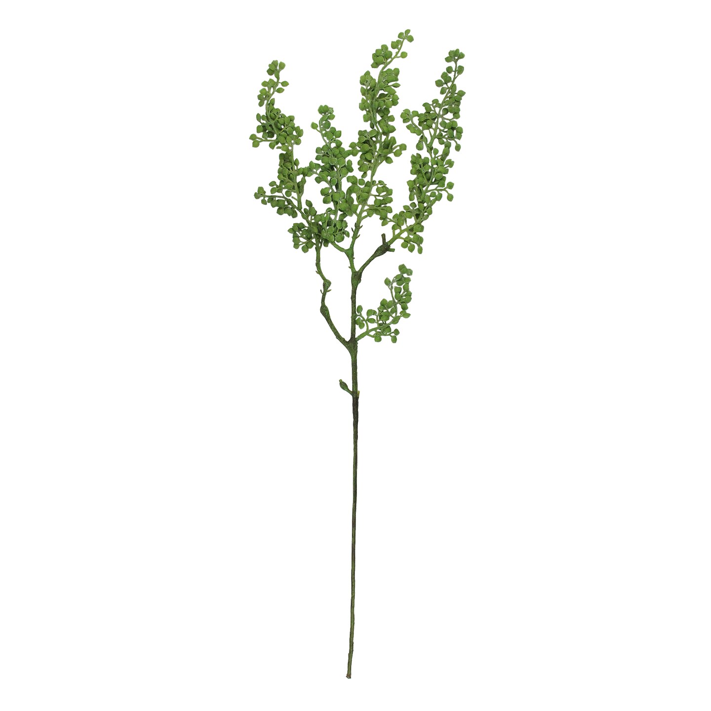 CC Home Furnishings 27" Artificial Long Stem Green Weeping Seed 5 Tip Branch Spray