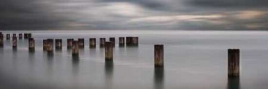 In Dreams II Poster Print by Jamie Cook - Item # VARPDXCJP623