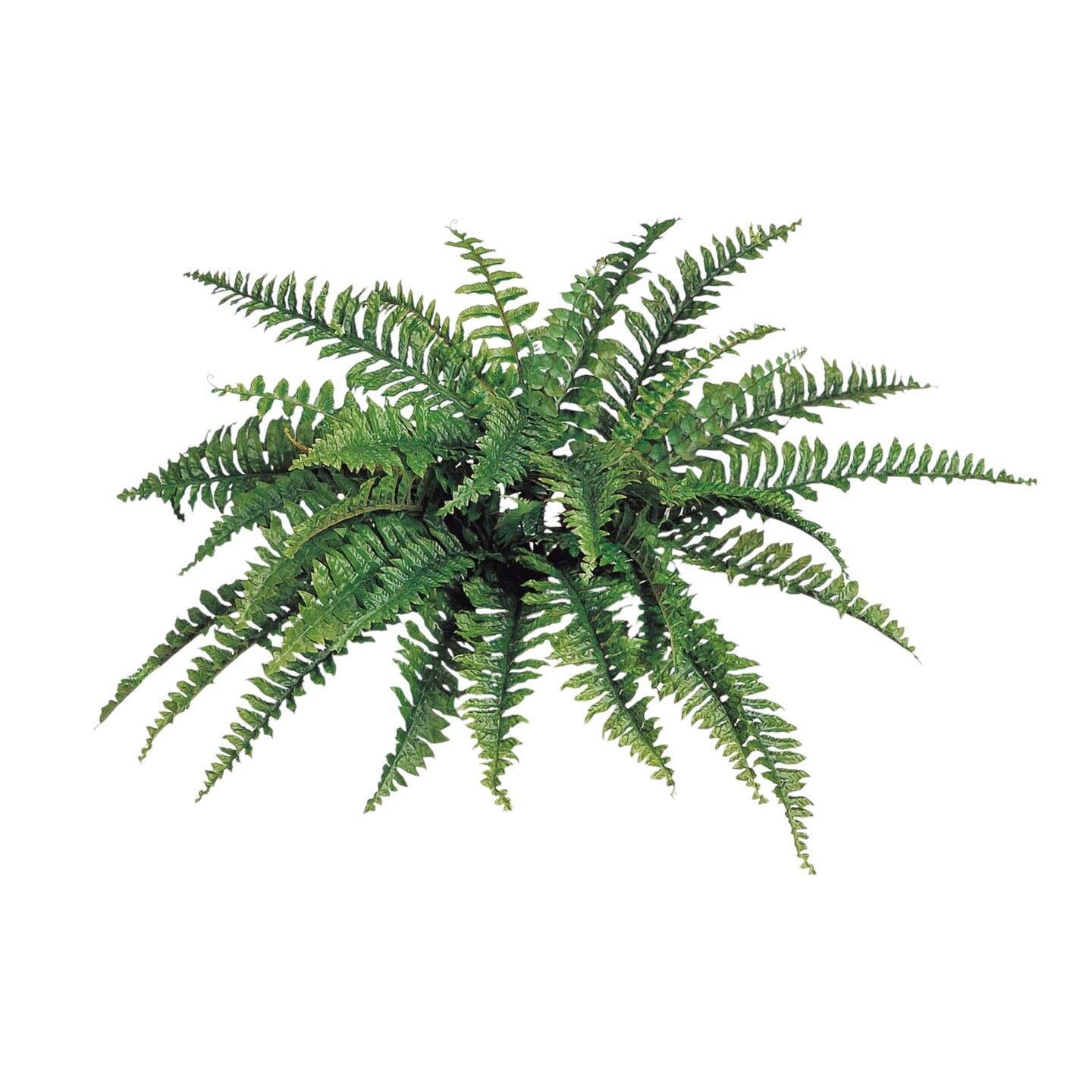 UV Boston Fern Plant with 42 Realistic Silk Fronds, 34&#x22; Wide by Floral Home&#xAE;