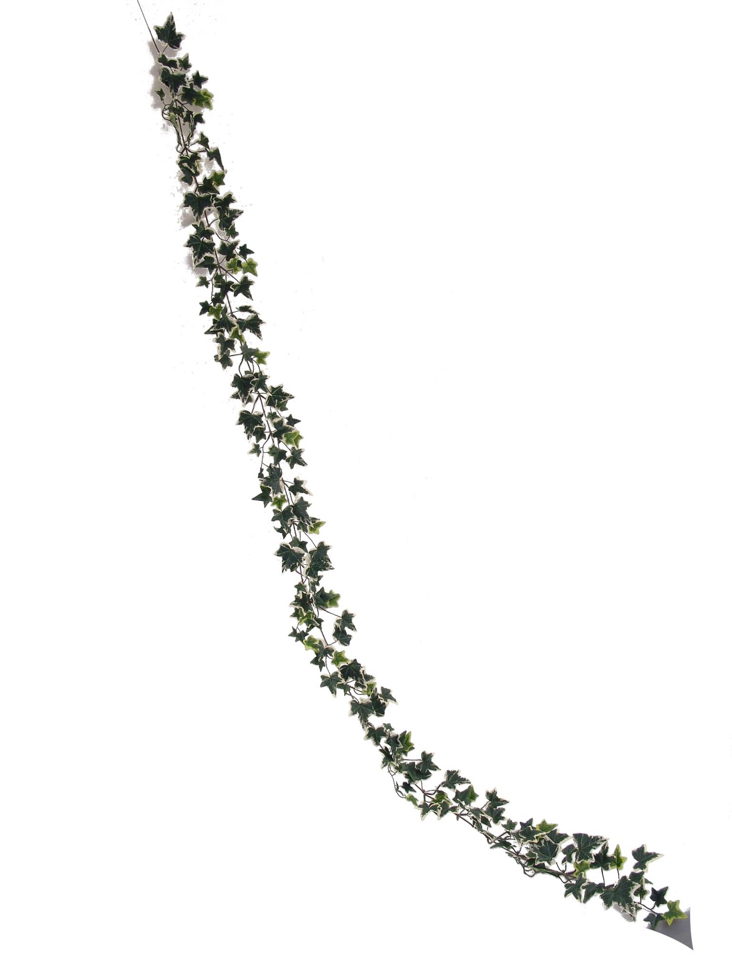 6ft Variegated English Ivy Garland - 12-Pack, Lifelike Greenery, Indoor/Outdoor Use, Home &#x26; Event D&#xE9;cor - Perfect for All Seasons &#x26; Holidays, Floral Home by Artificial Flowers