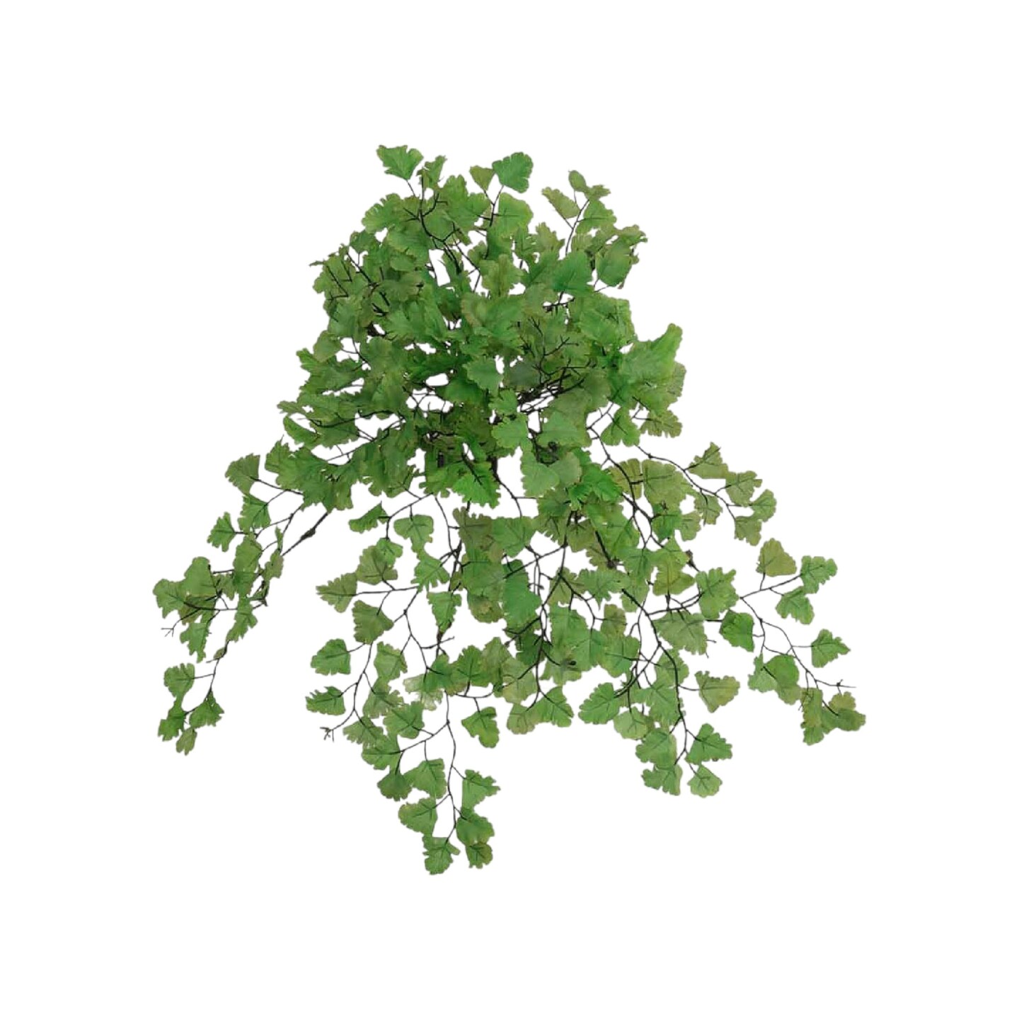 24-Pack: Maidenhair Fern Bush with 23 Fronds, 23" Wide, Floral Home by Artificial Flowers