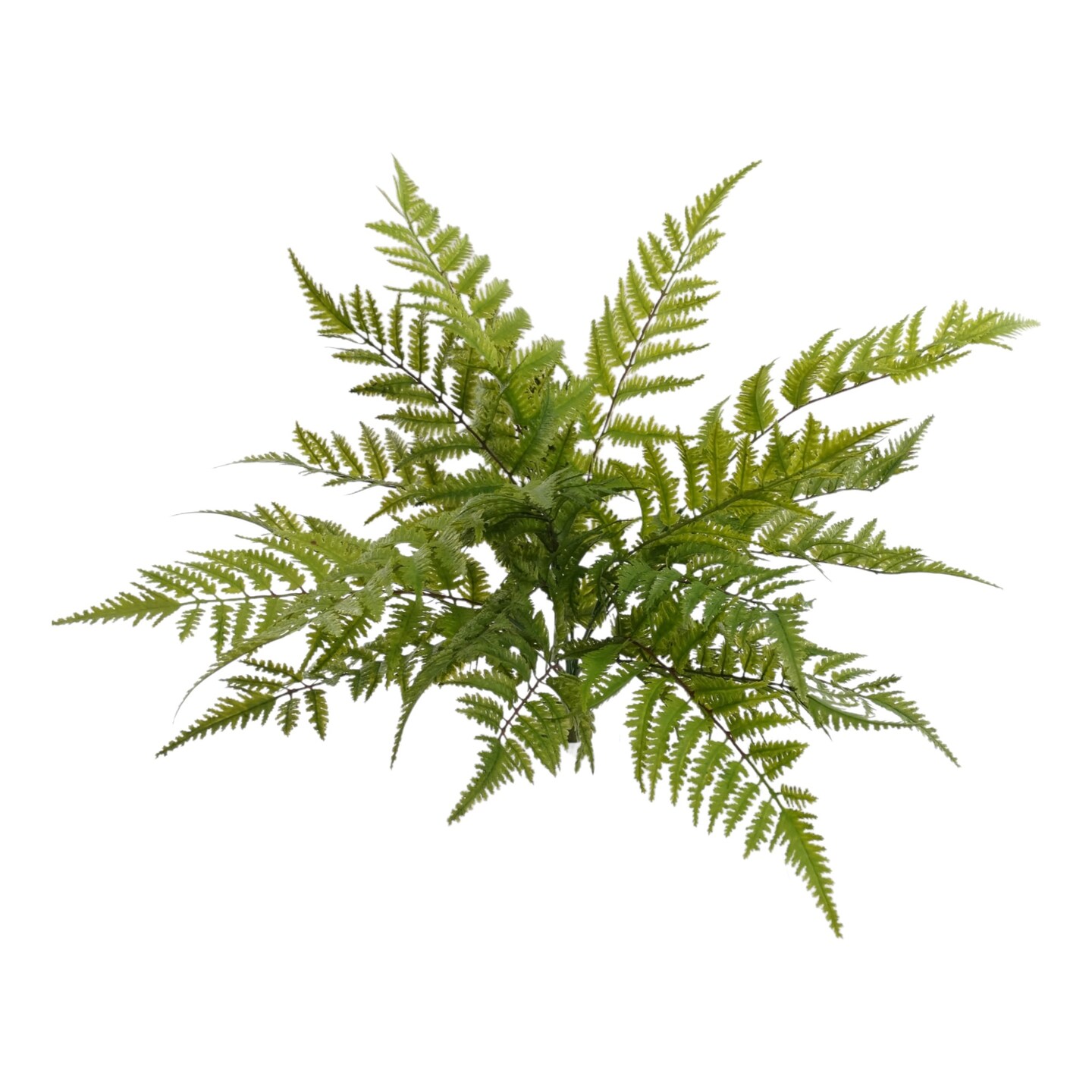 6-Pack: UV Boston Fern Plant with 7 Sprays, 28&#x22; Wide by Floral Home&#xAE;