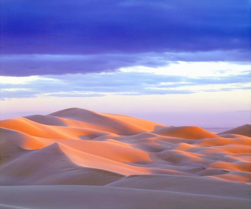 USA, California, Glamis Sand Dunes at sunset by Christopher Talbot Frank - Item # VARPDXUS05BJA0888