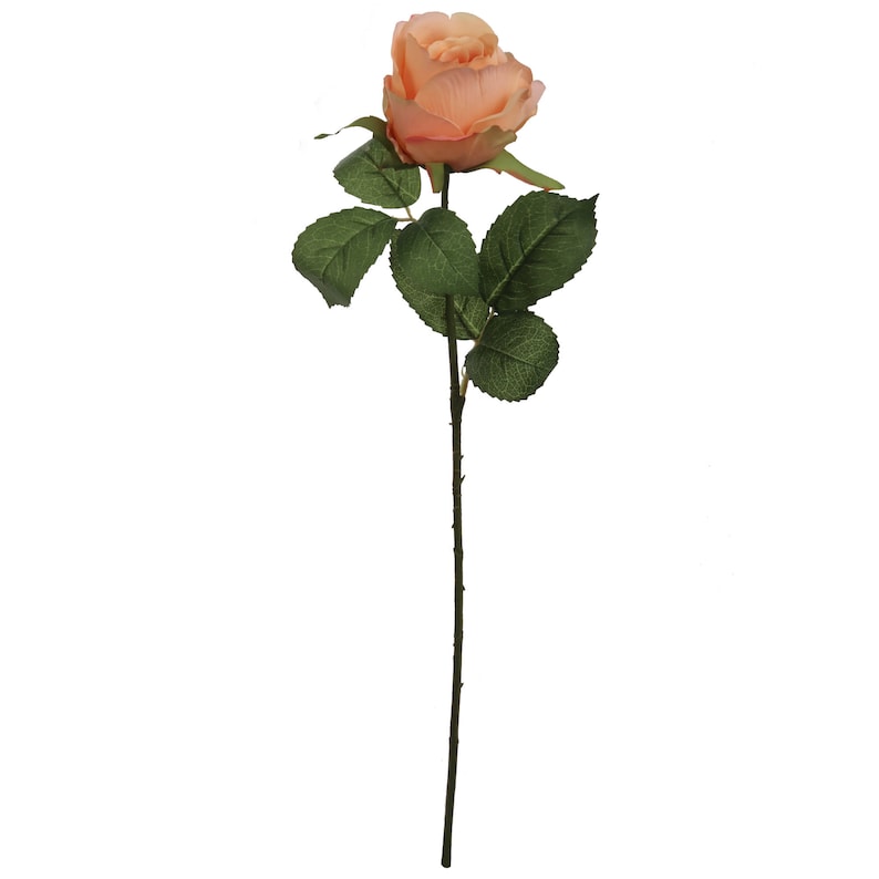 Set of 6: Apricot Rose Bud Stem | 20-Inch | Lifelike Silk Flowers & Foliage | Faux Roses | Special Occasions & Events | Arrangements & Centerpieces | Home & Office Decor