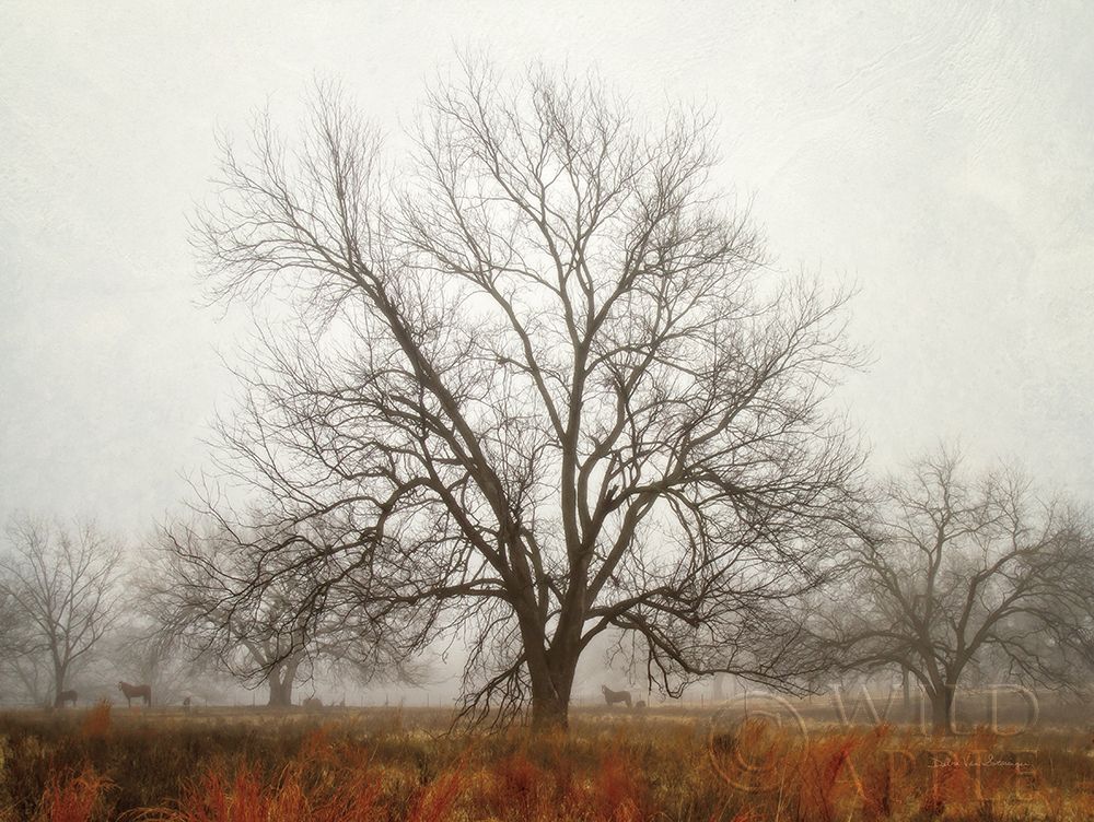 Morning Calm I Poster Print by Debra Van Swearingen # 55166