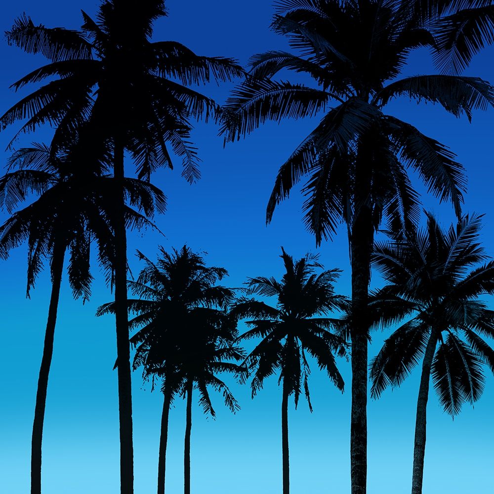 Palms Black on Blue I Poster Print by Mia Jensen # MJ116833