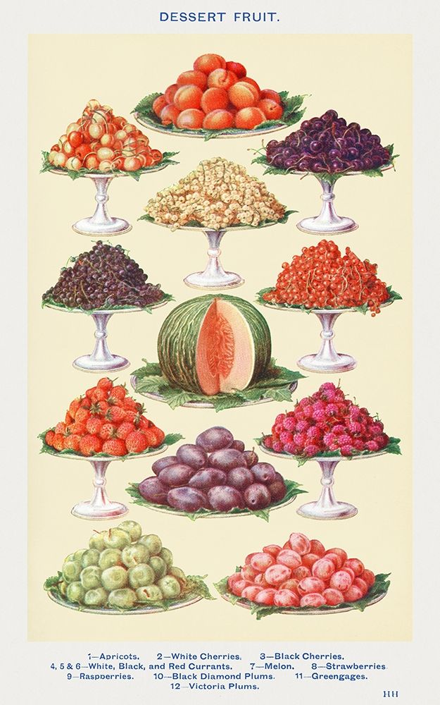 Dessert Fruit Poster Print by Mrs. Beeton&#x27;&#x27;s Book of Household Management Mrs. Beeton&#x27;&#x27;s Book of Household Management # 54693