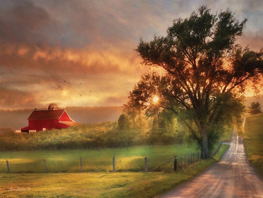 Country Lane Sunset    Poster Print by Lori Deiter # LD538E