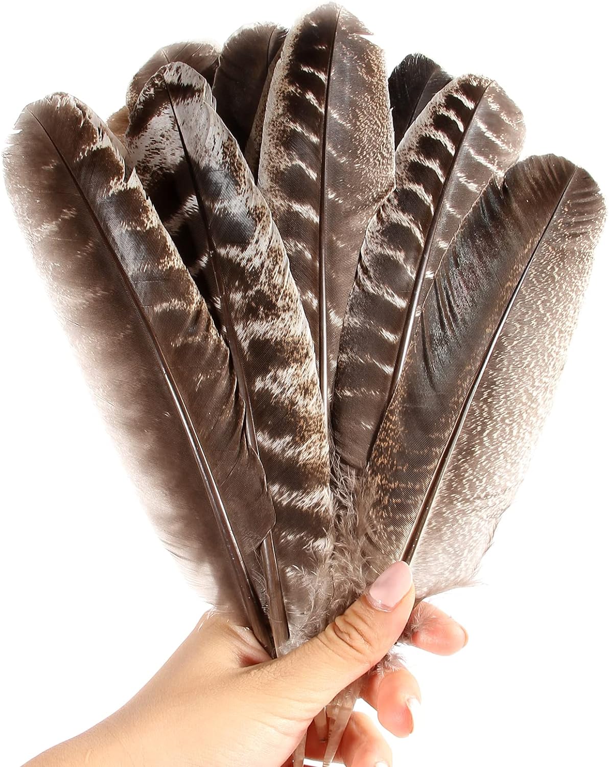 Wing Feathers, 1 Lb - Taupe Turkey Rounds Wing Quill Wholesale Feathers (Bulk) Halloween Craft Supplier online : 4966