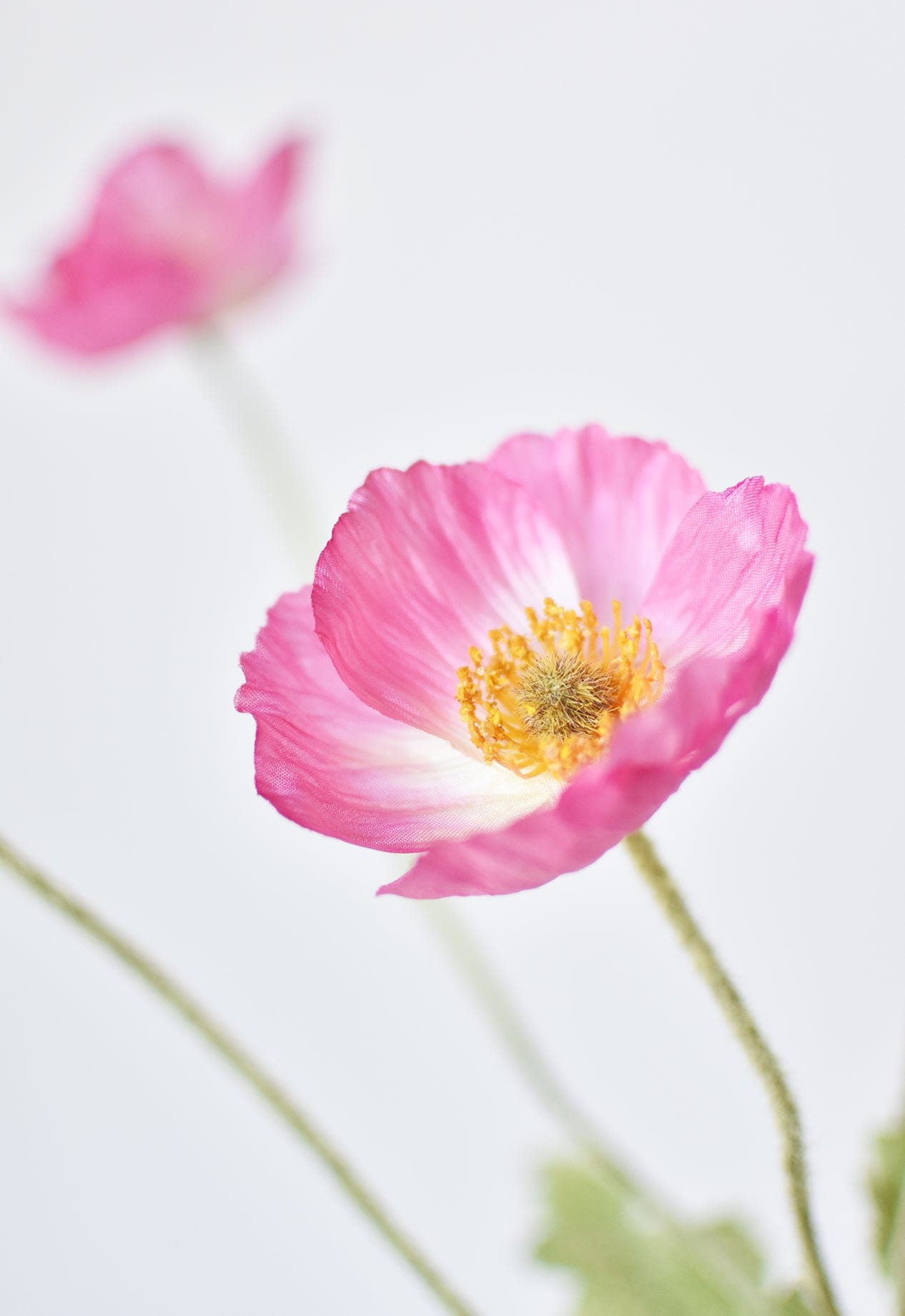 24&#x22; Faux Pink Poppy Stem