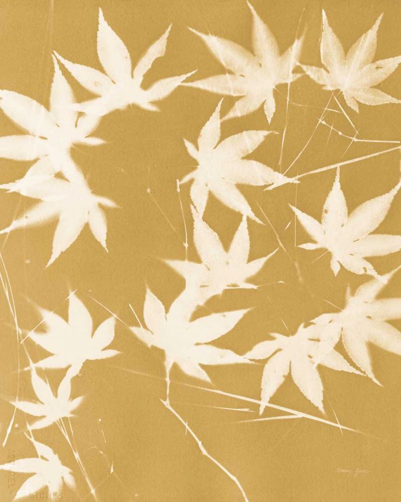 Enchanted Fall Cyanotype V by Nancy Green - Item # VARPDX68386