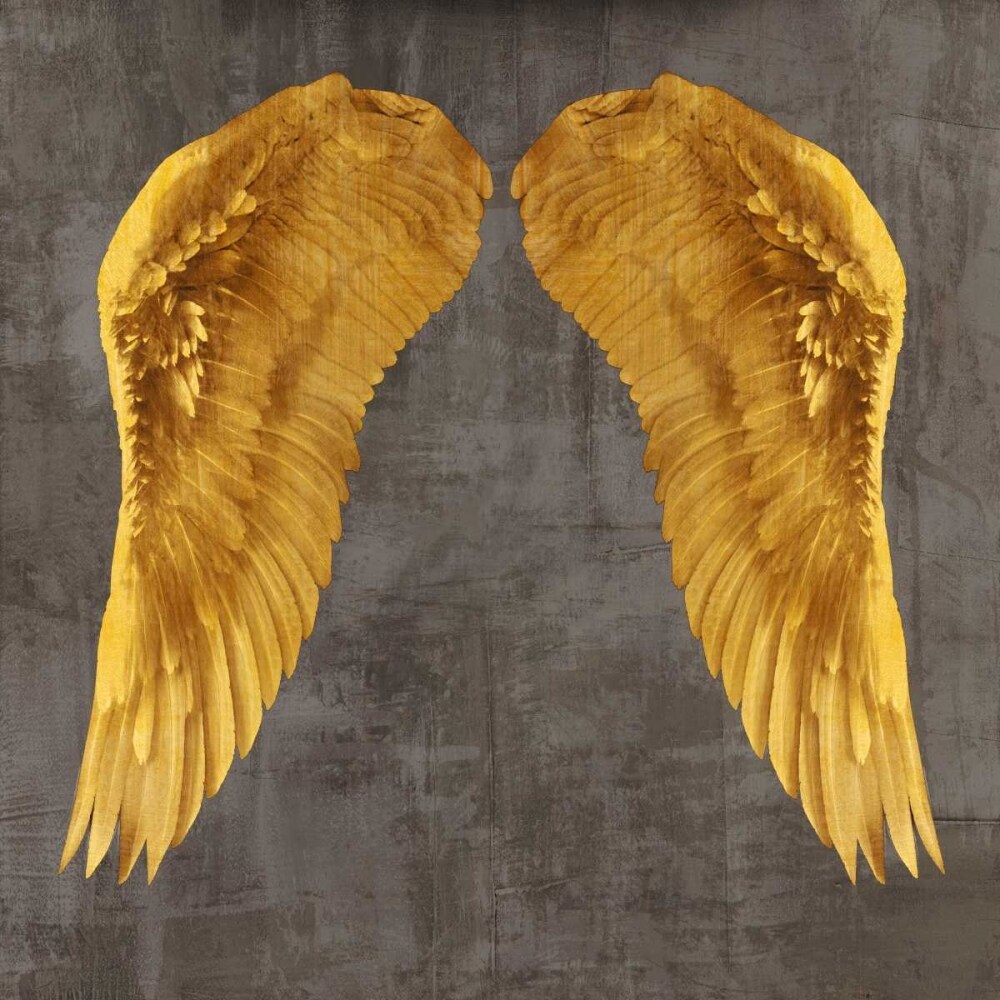 Angel Wings I Poster Print by Joannoo - Item # VARPDX1JO4008