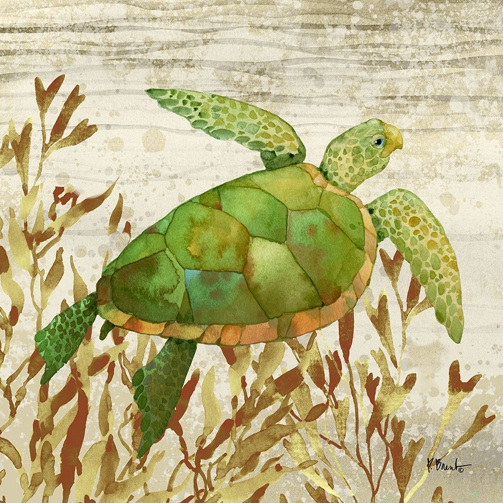 Calypso Turtles I Poster Print by Paul Brent # BNT1491