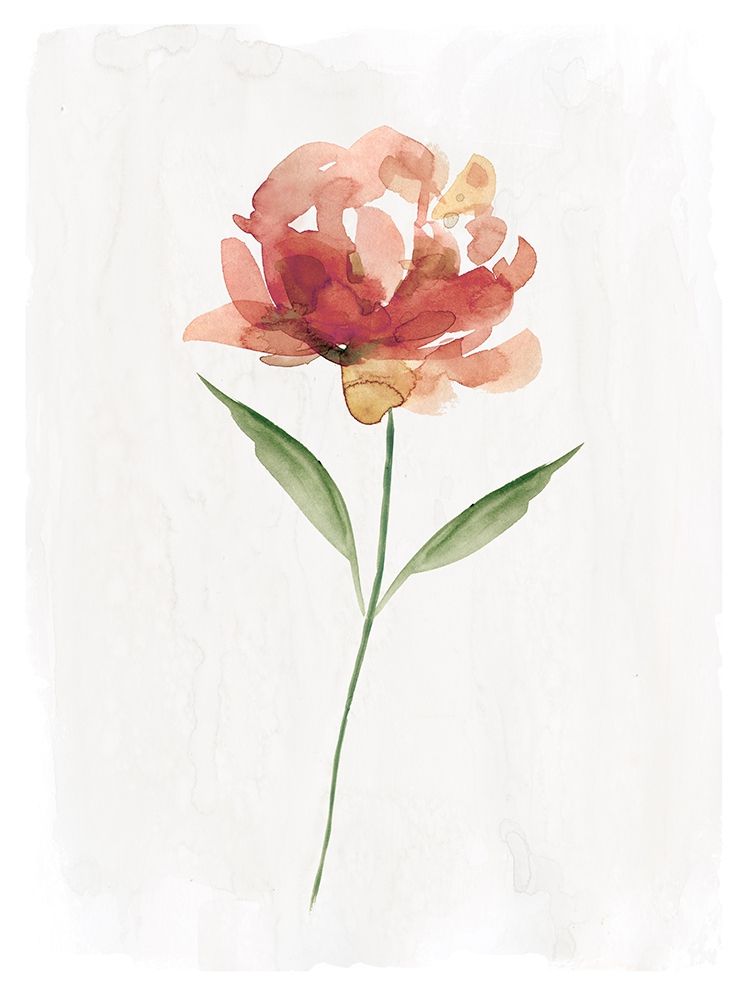 Happy Bloom II Poster Print by Carol Robinson - Item # VARPDX41167