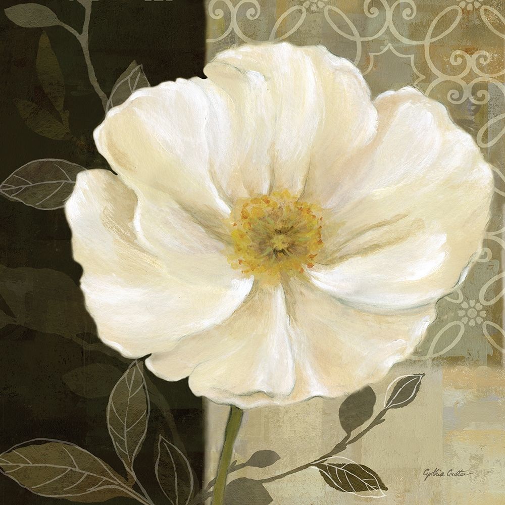 Midnight Poppy Closeup I Poster Print by Cynthia Coulter # RB6274CC