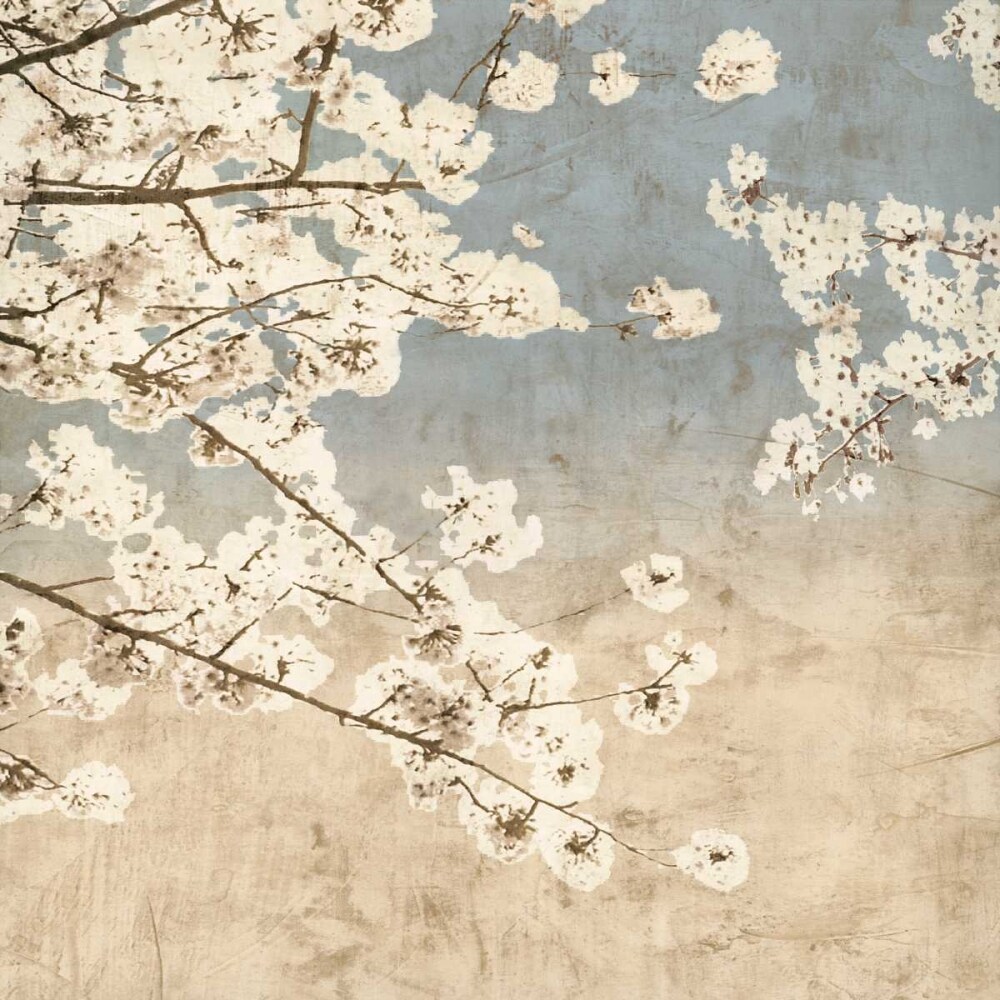 Cherry Blossoms II Poster Print by John Seba # IS5804