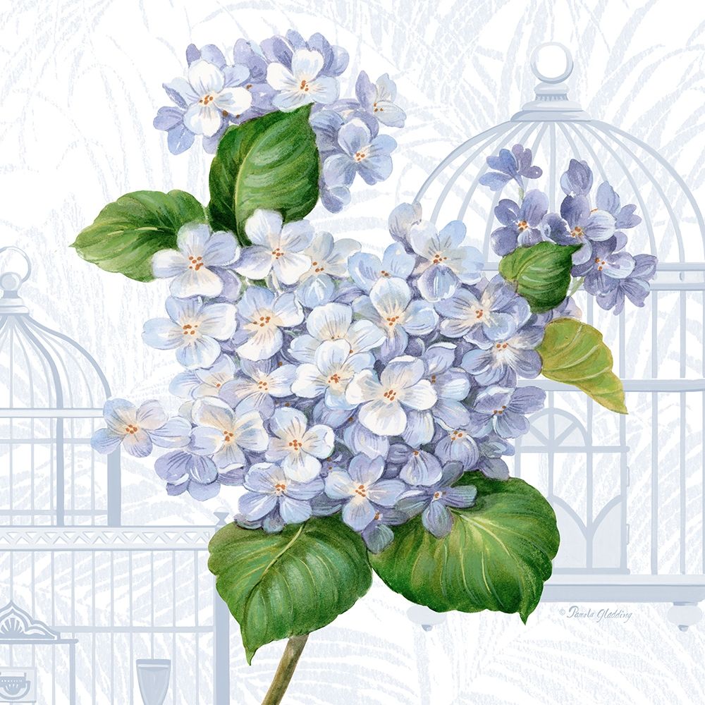 Hydrangea Cages I Poster Print by Pamela Gladding # GLA626