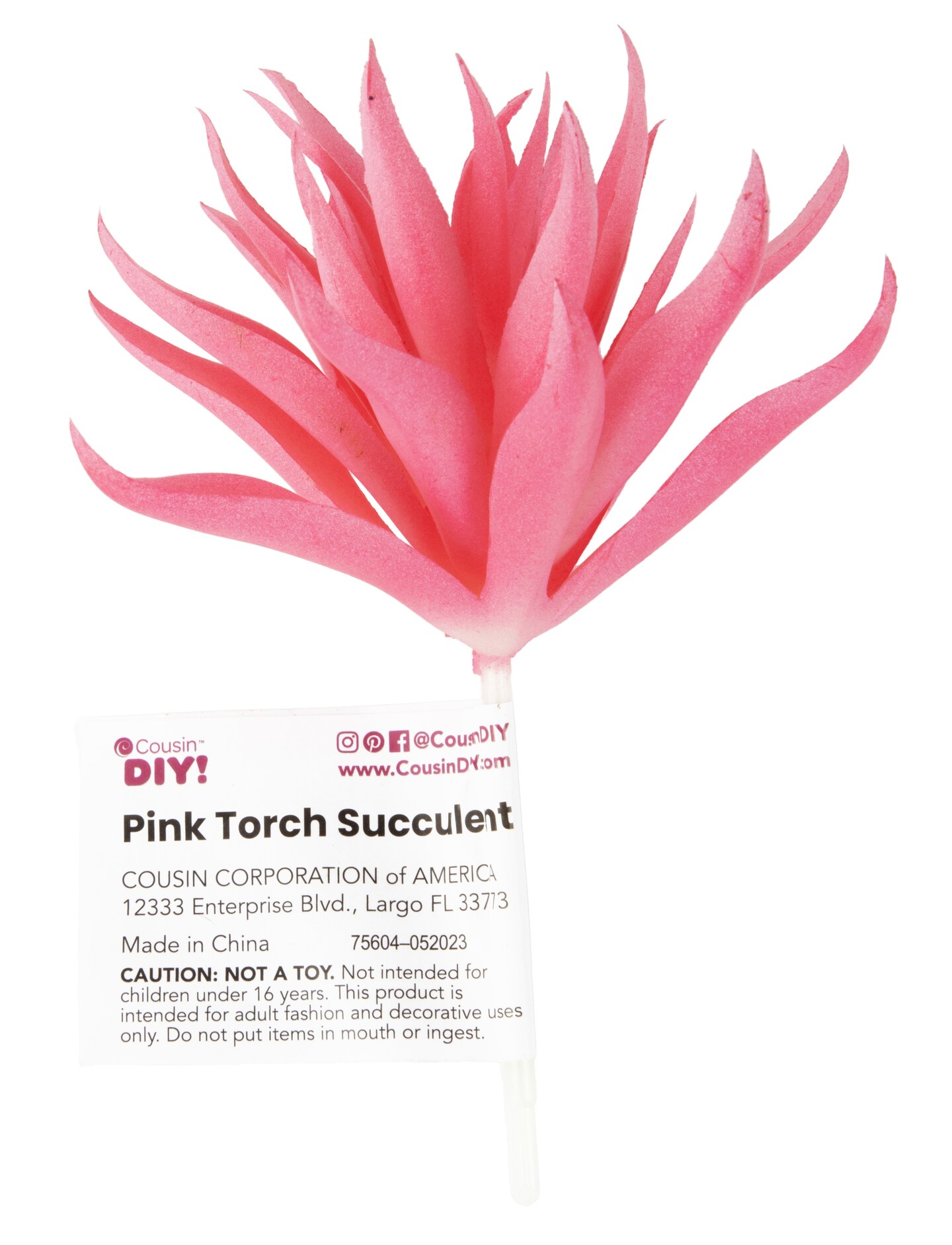 CousinDIY Torch Succulent Assortment