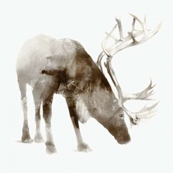 Caribou Poster Print by Edward Selkirk