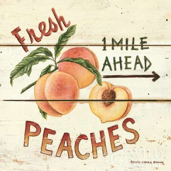 Fresh Peaches Poster Print by David Carter Brown - Item # VARPDX3188