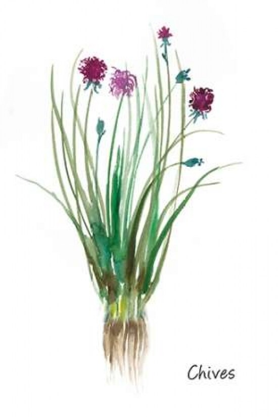Chives Poster Print by Asia Jensen