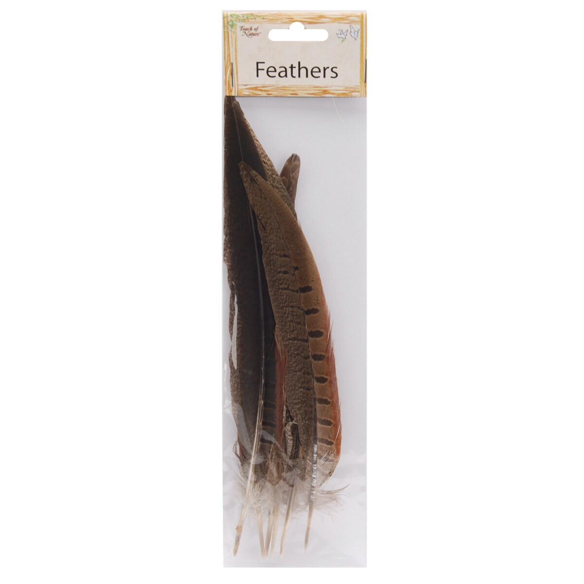 Ringneck Pheasant Feathers 6/Pkg-Natural | Michaels