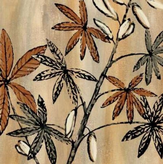 Natures Graphic II Poster Print by Michael King - Item # VARPDXCC3286